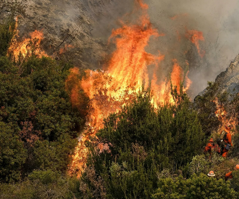 حفاظت از آتش سوزی جنگل